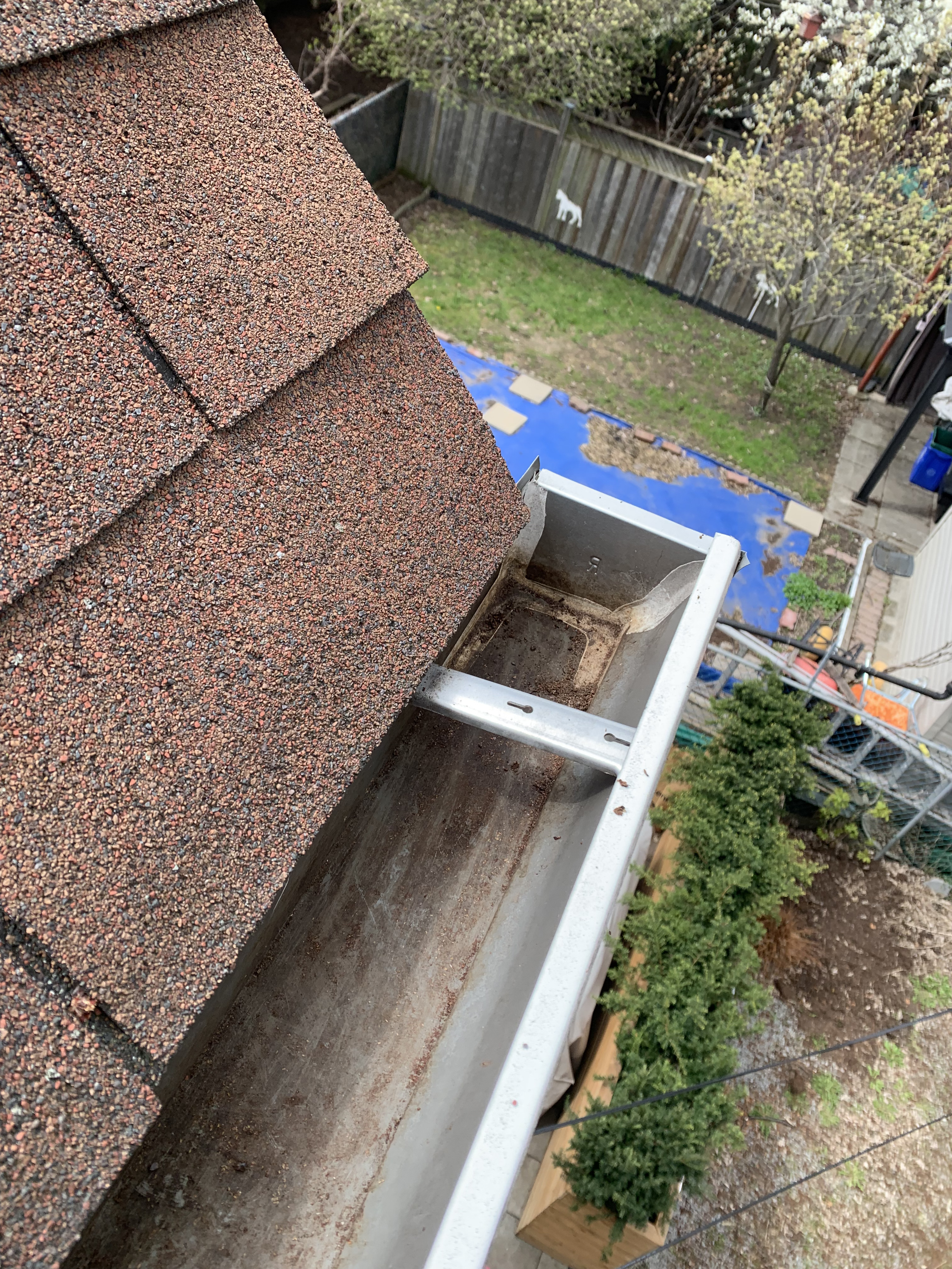 After: Gutter Cleaning and Downspout Flush
