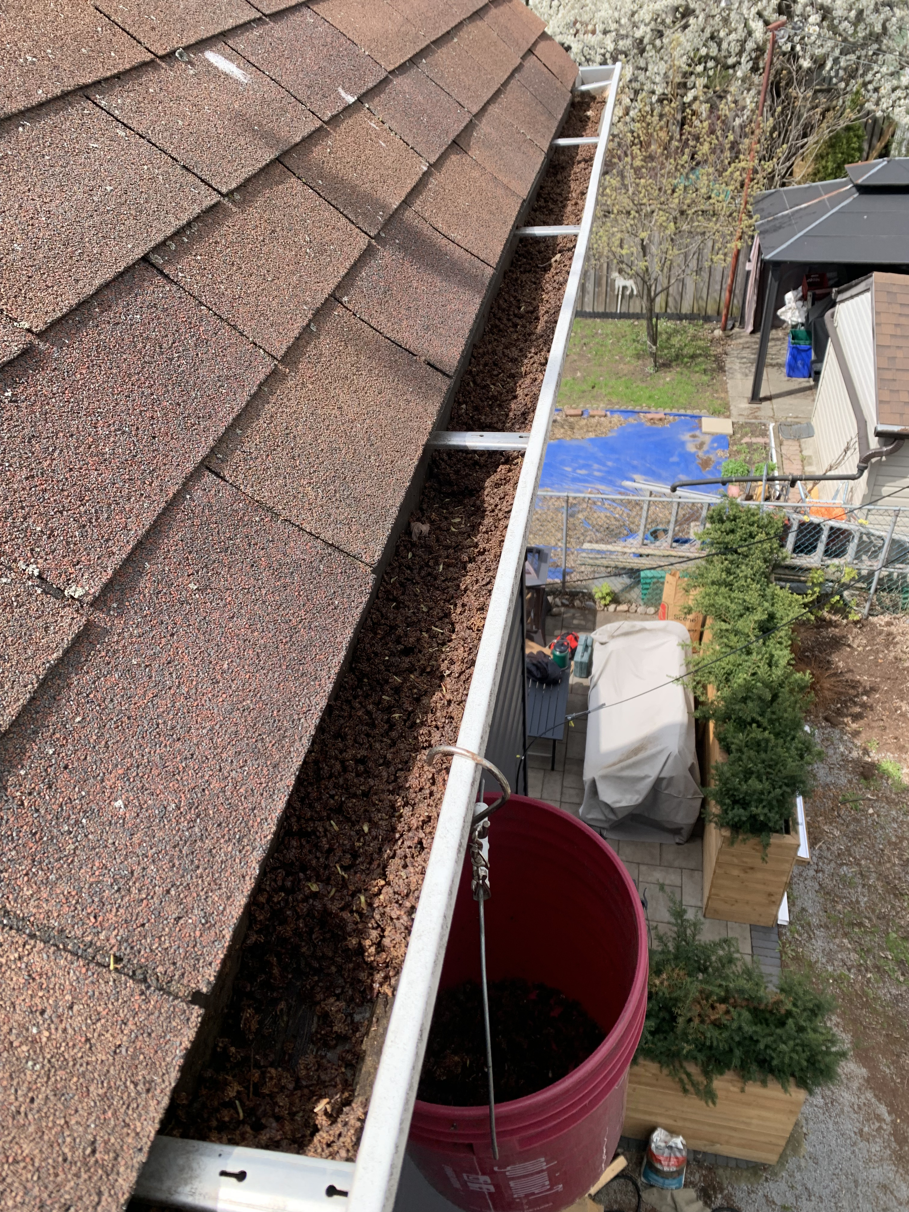 Before: Gutter Cleaning and Downspout Flush